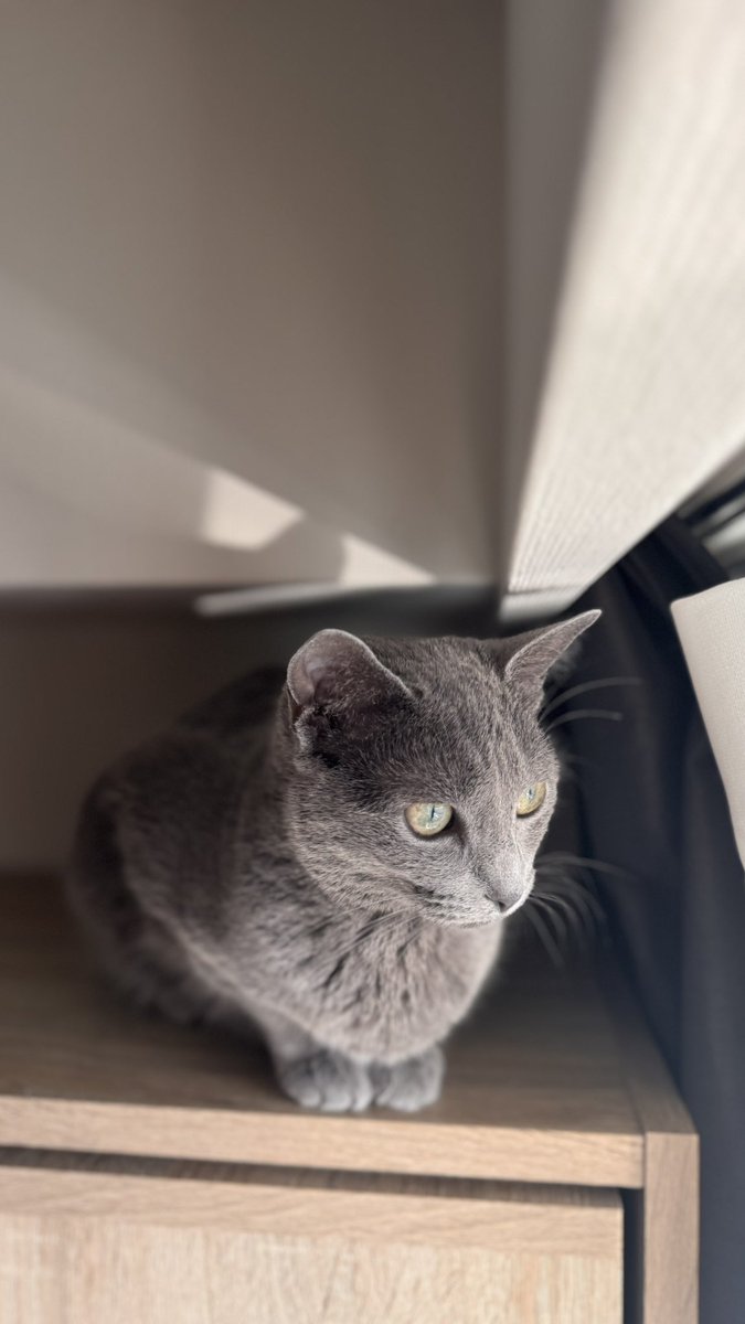 ﾊﾟﾈﾀﾞ tweet media