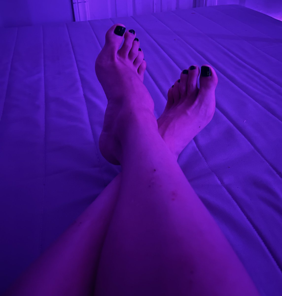 Raven 🦇 tweet media