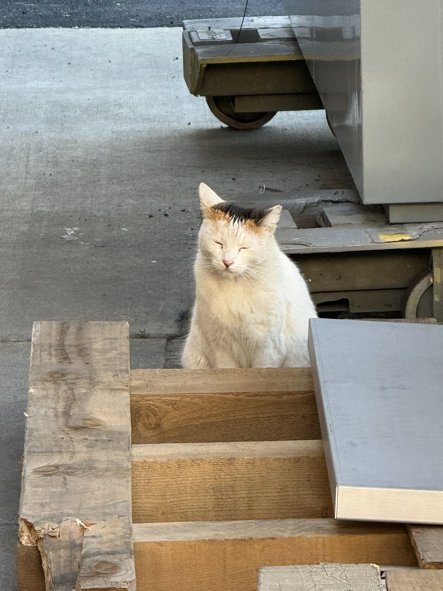 Greggles510 tweet media