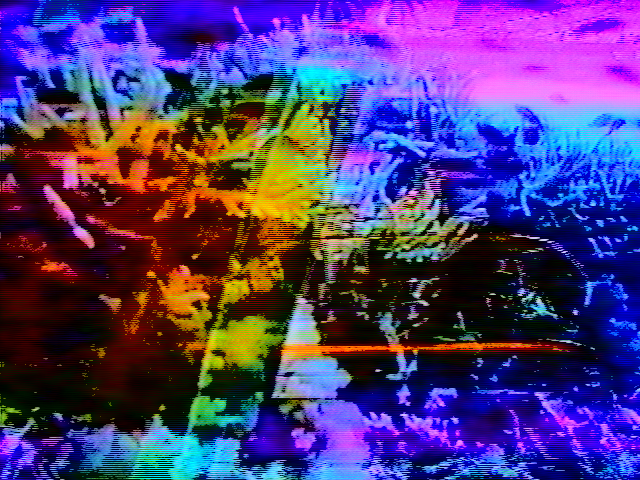 MAX CAPACITY tweet media