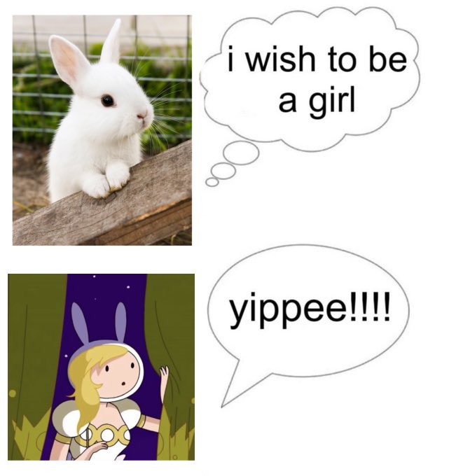 ᡣ𐭩 bon ! 🌷 tweet media