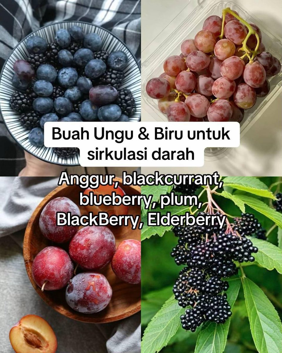 Baru tau kalau warna buah ternyata nunjukin kandungan nutrisinya🍓🍌🥝🫐