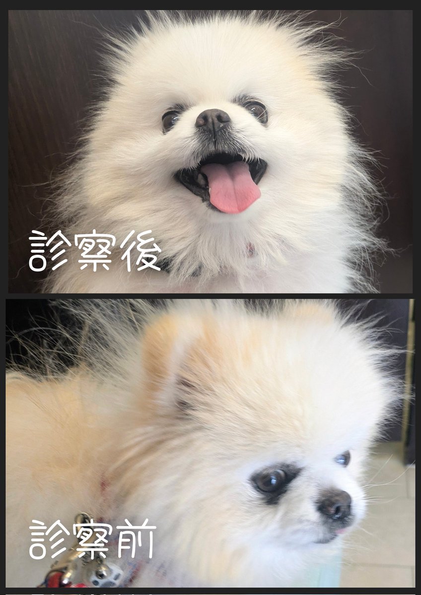 Lefrancルフラン tweet media