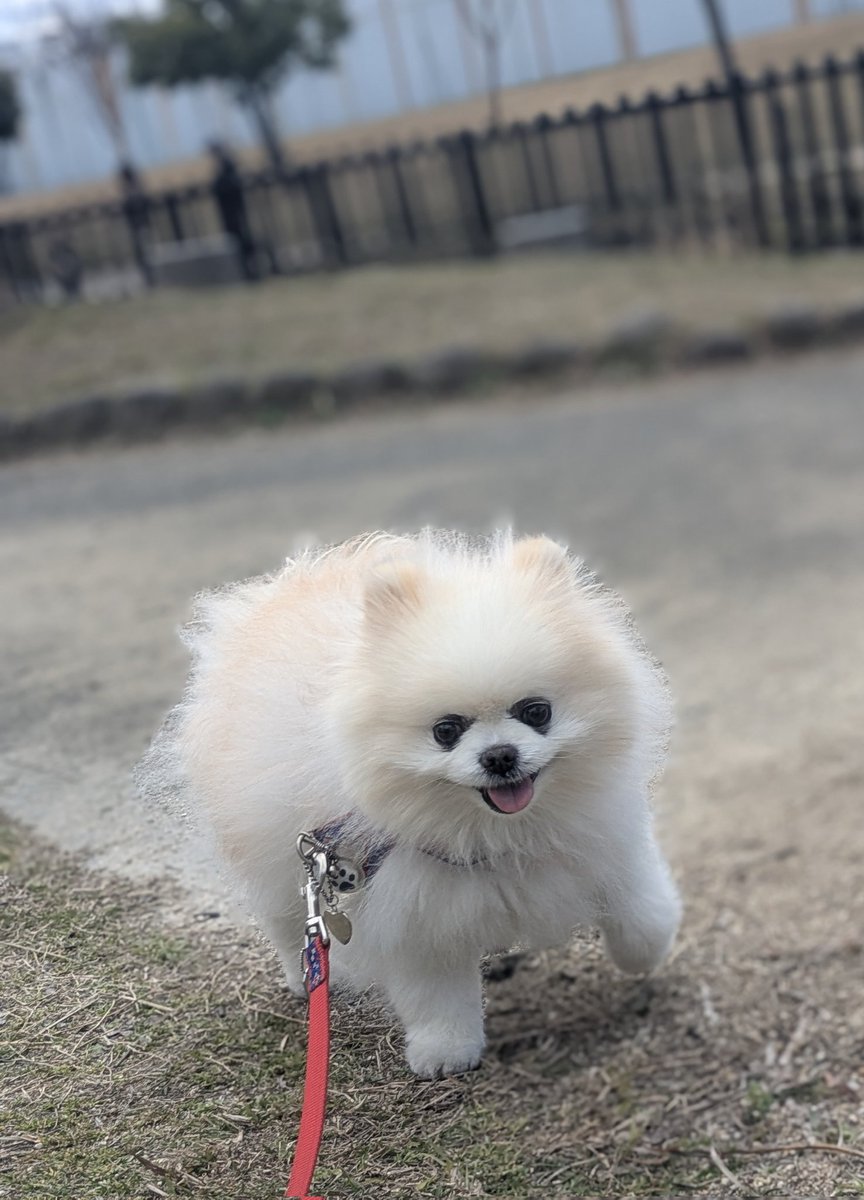 Lefrancルフラン tweet media