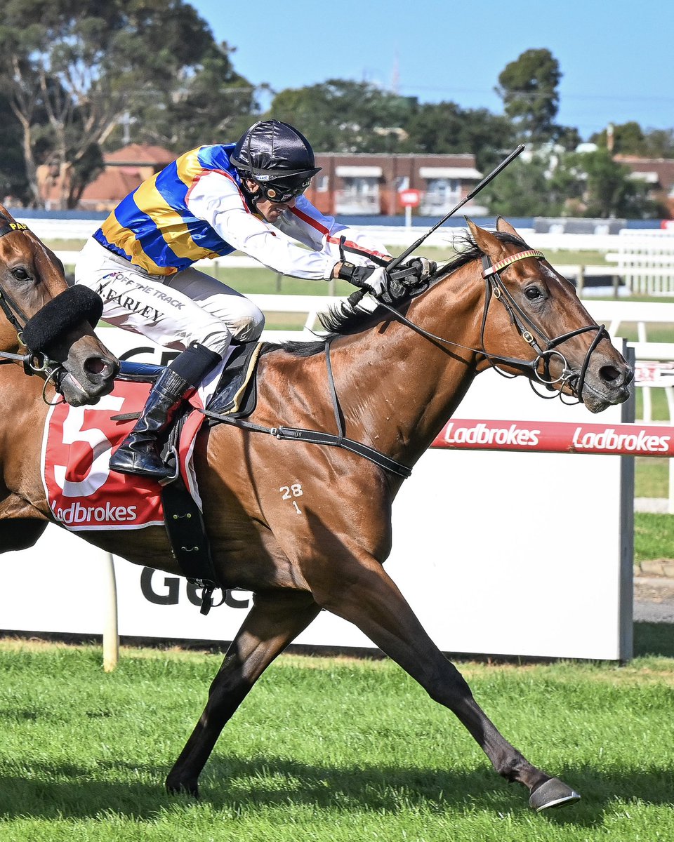 Country Racing tweet media