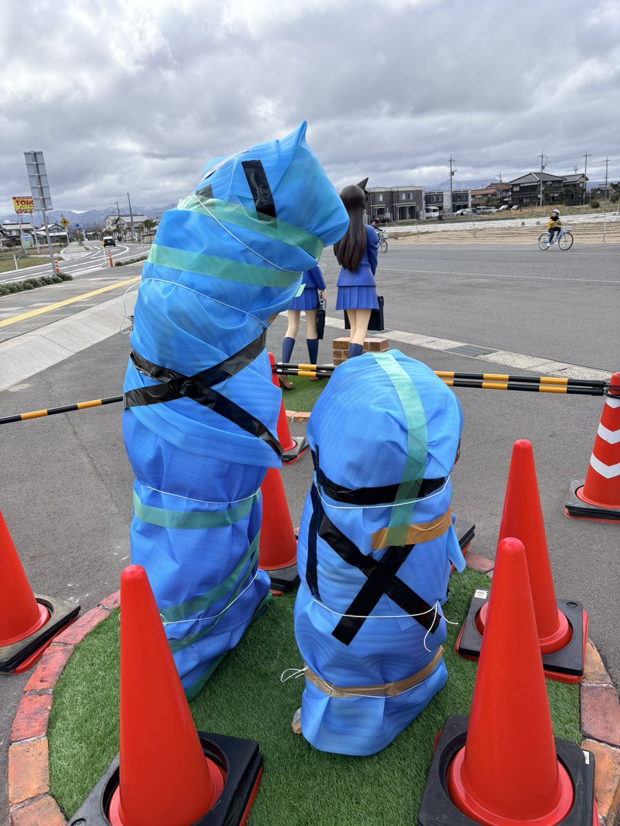 えびあほかど🦐🥑🧸👑 tweet media