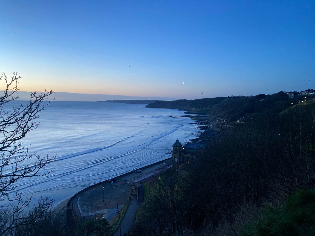 Faith Young Writer tweet media