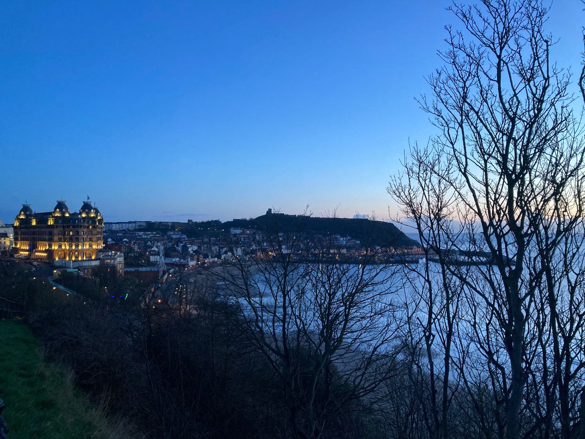 Faith Young Writer tweet media