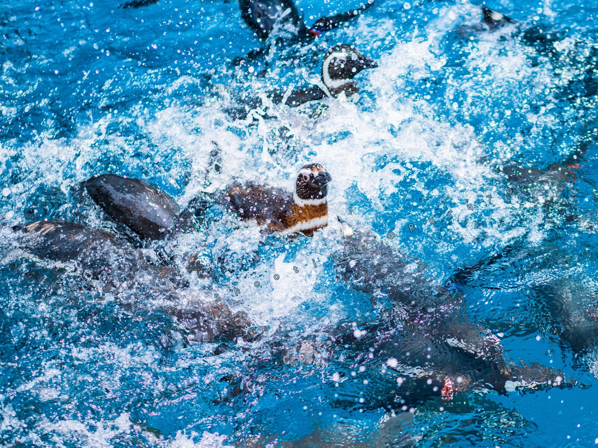 るるなっく tweet media