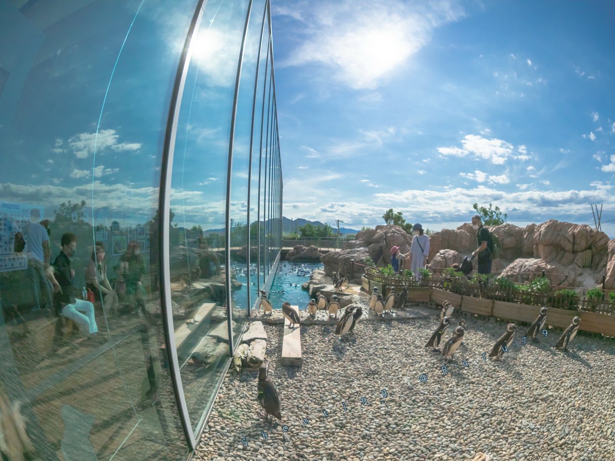 るるなっく tweet media