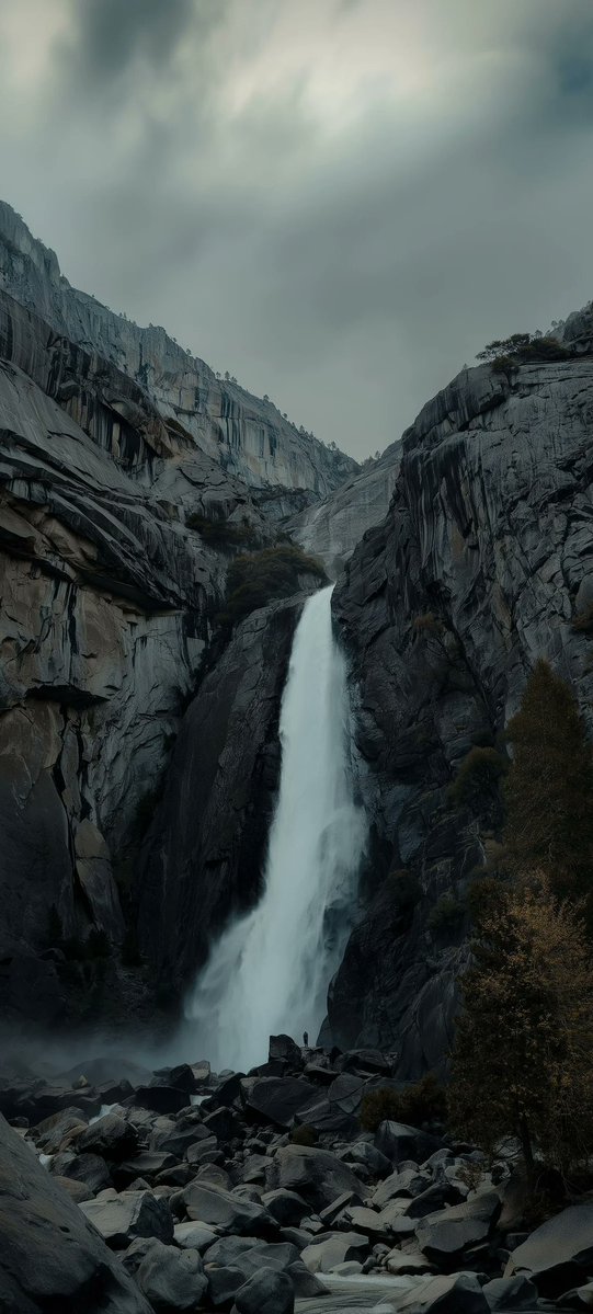 monkey boy tweet media