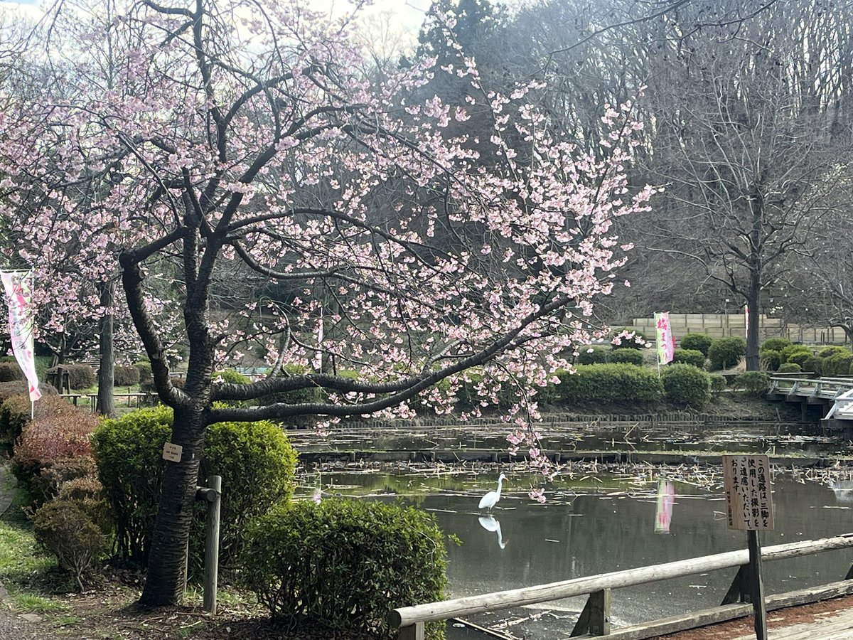 一般社団法人 町田青年会議所 tweet media