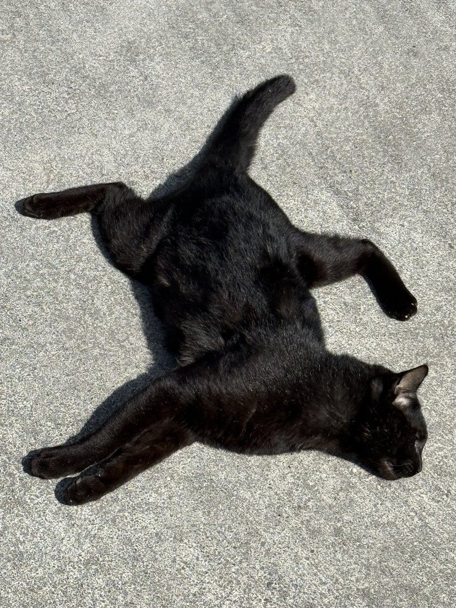 佐久間一禎 tweet media