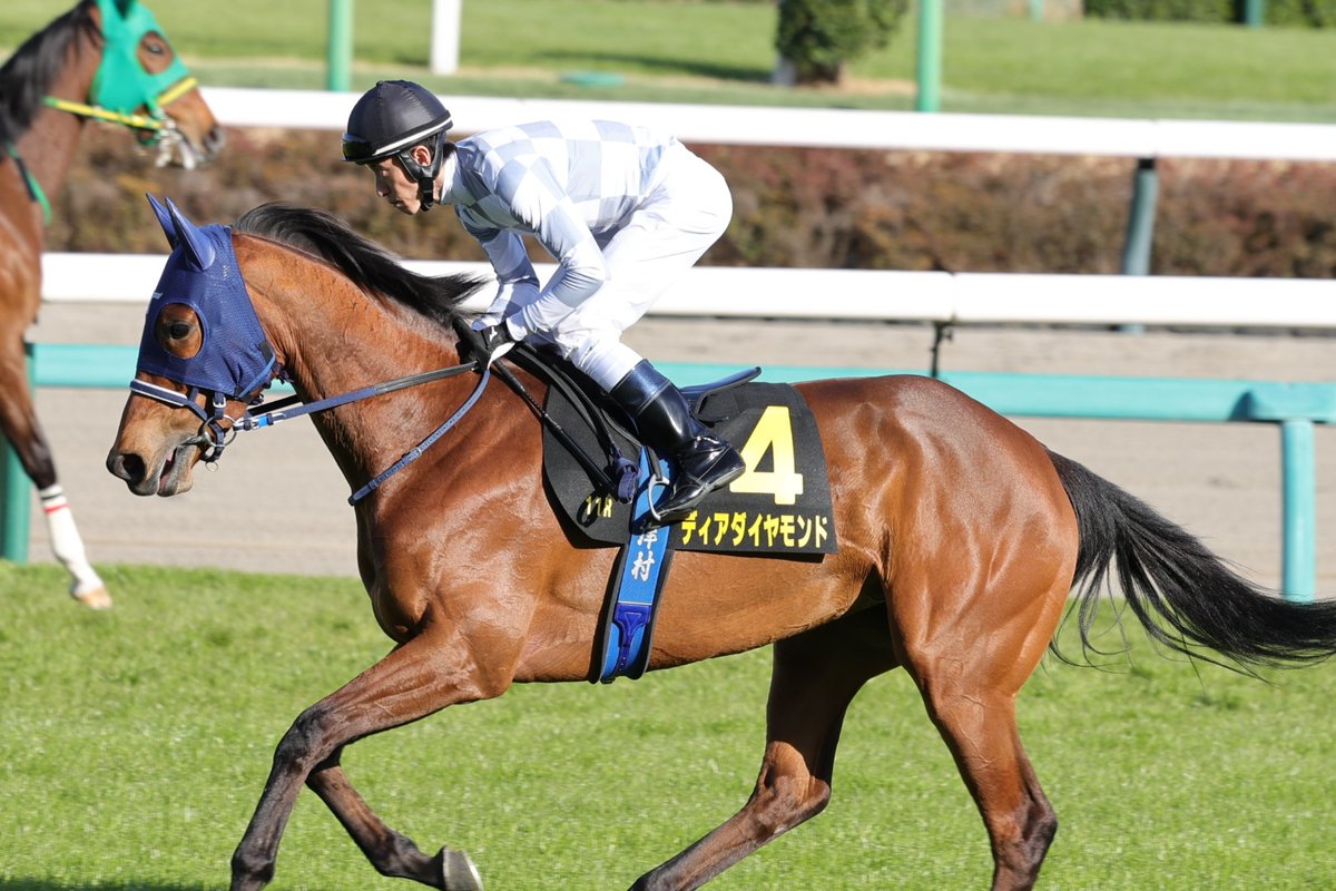 kahokaho tweet media