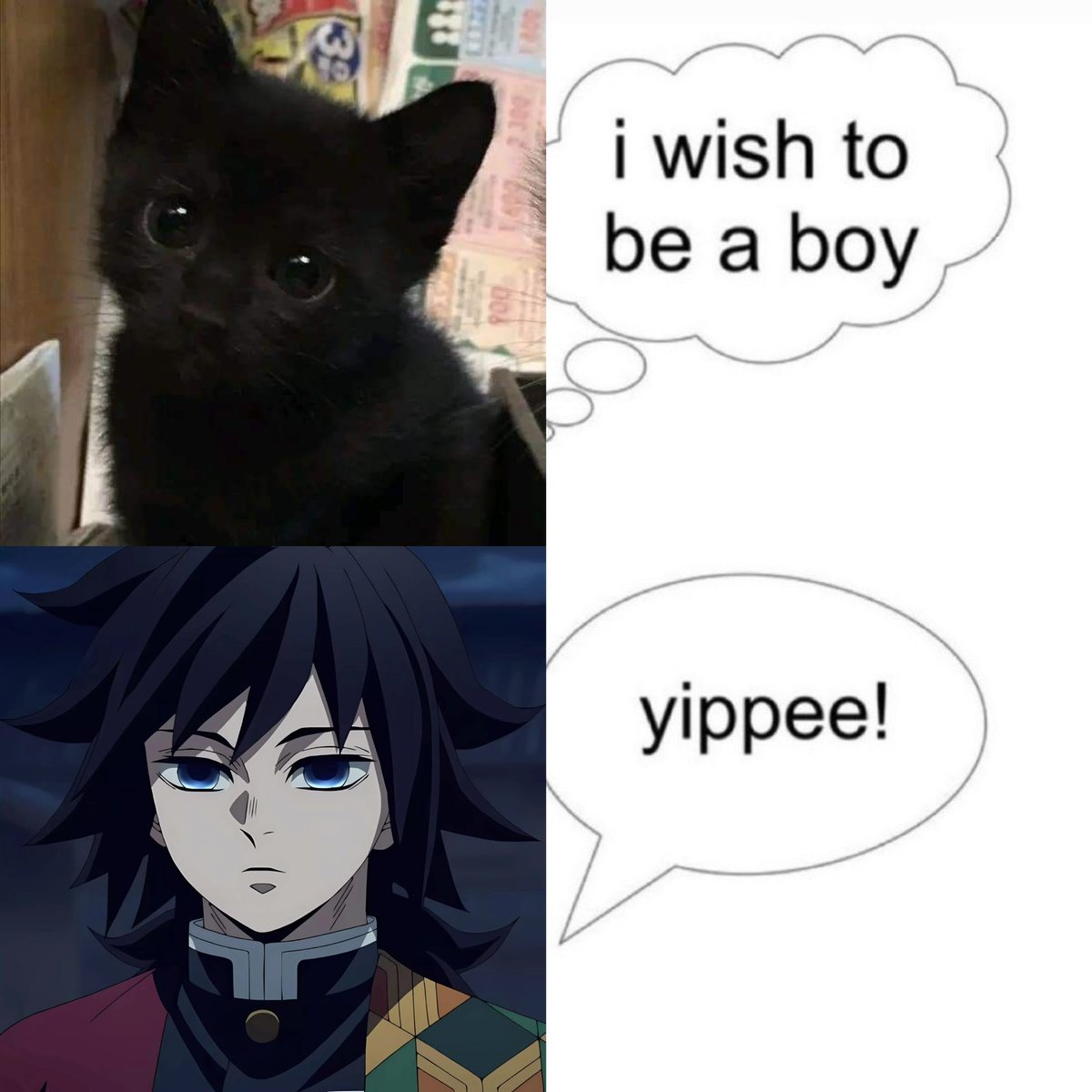 MeMeページ☺︎ 🐈‍⬛➡️🧍🏻