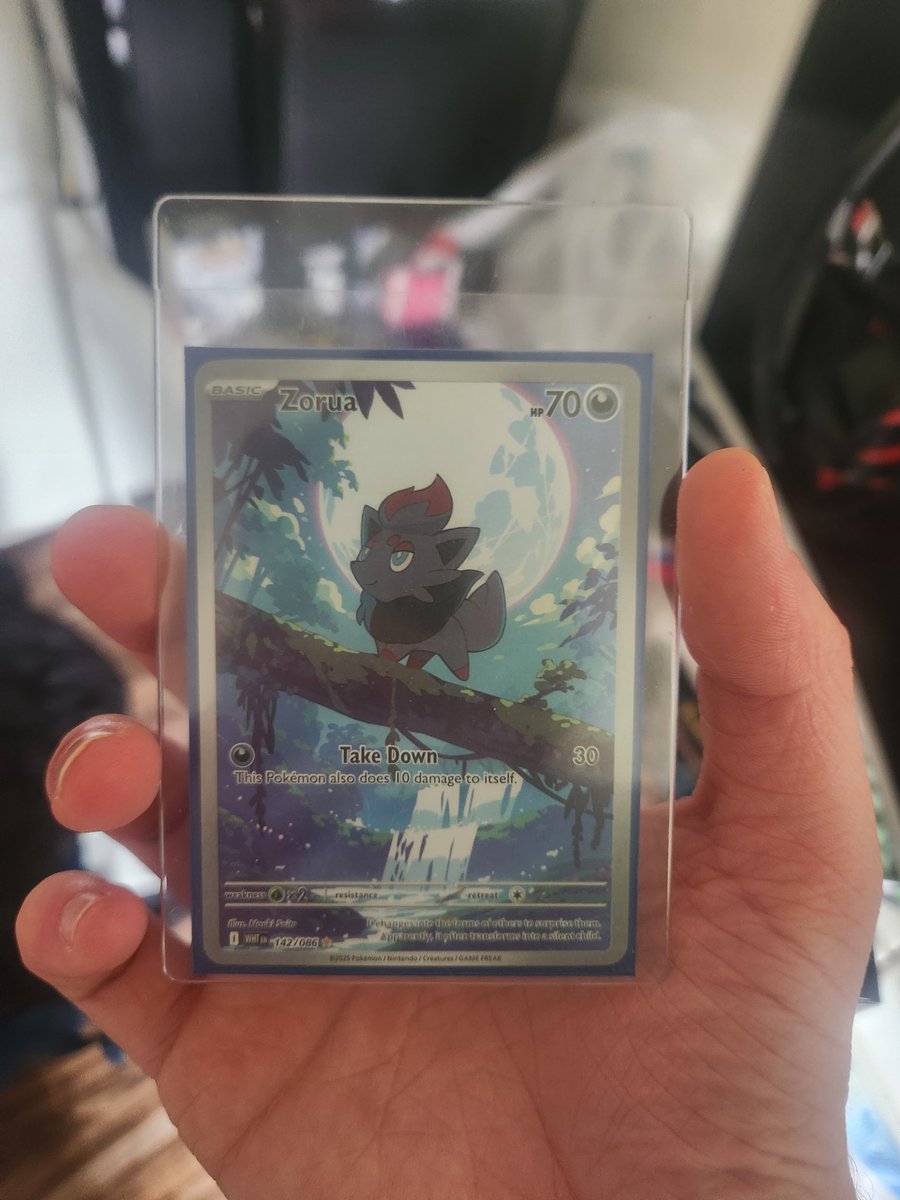 AugustValley tweet media