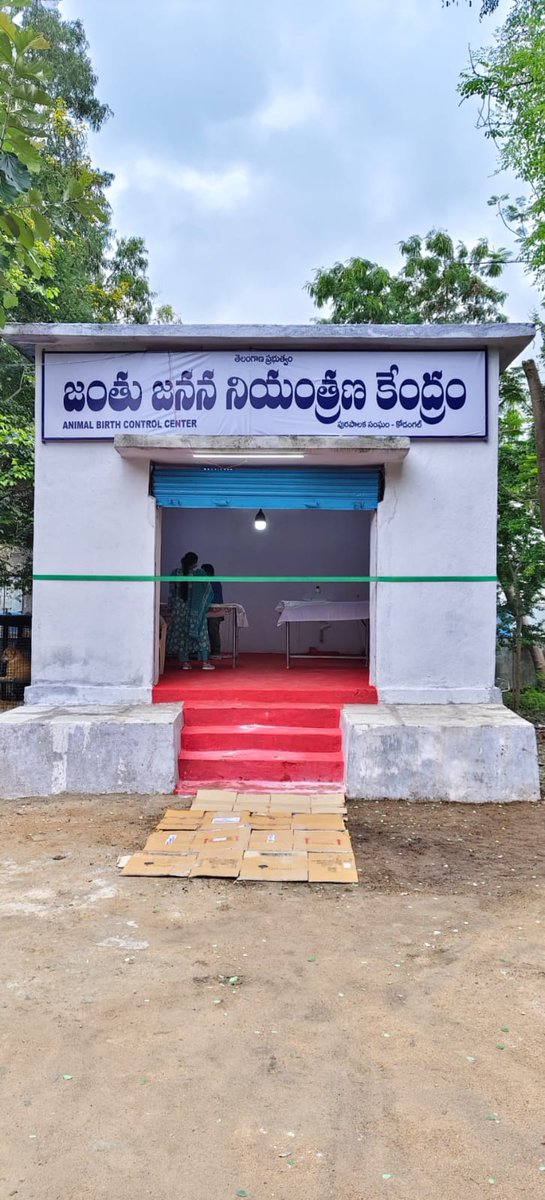 mckodangal's tweet photo. PPPP 99 days Action plan program* Today Nursery visits and preparedness for plantations and Animal Birth Control activities Drive in MCK , participated by  Commissioner,   staff.@SwachhBharatGov
@SwachhBharat
@MoHUA_India
@tksreedevi
@cdmatelangana
@TelanganaCMO
@RoopaMishra77 https://t.co/3oyyWpcKrF