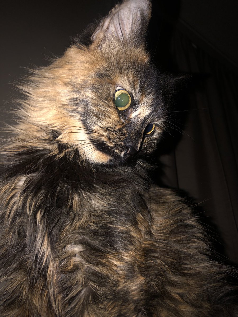 Wortchin antie em eattin an 3am hotdorg, im wanna bein lik herm wen I grow up