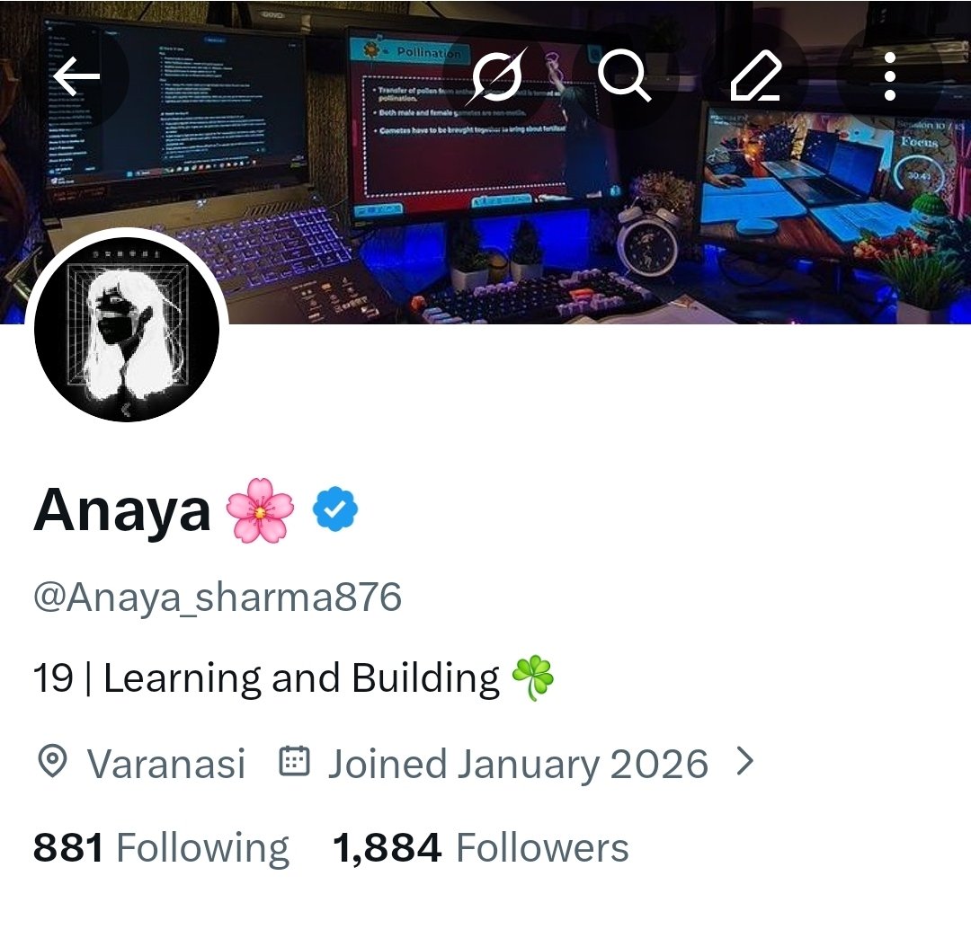 Anaya 🌸 tweet media