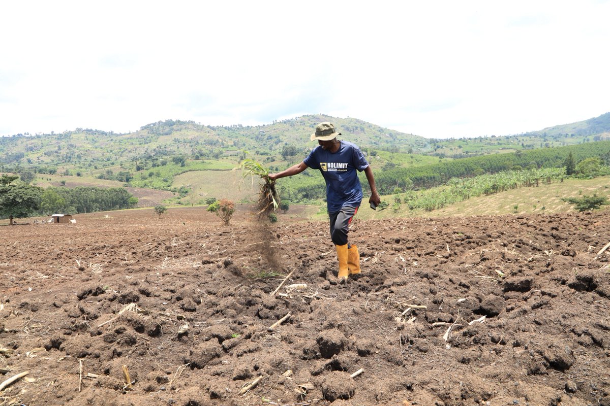 The Microfinance Support Centre Ltd tweet media