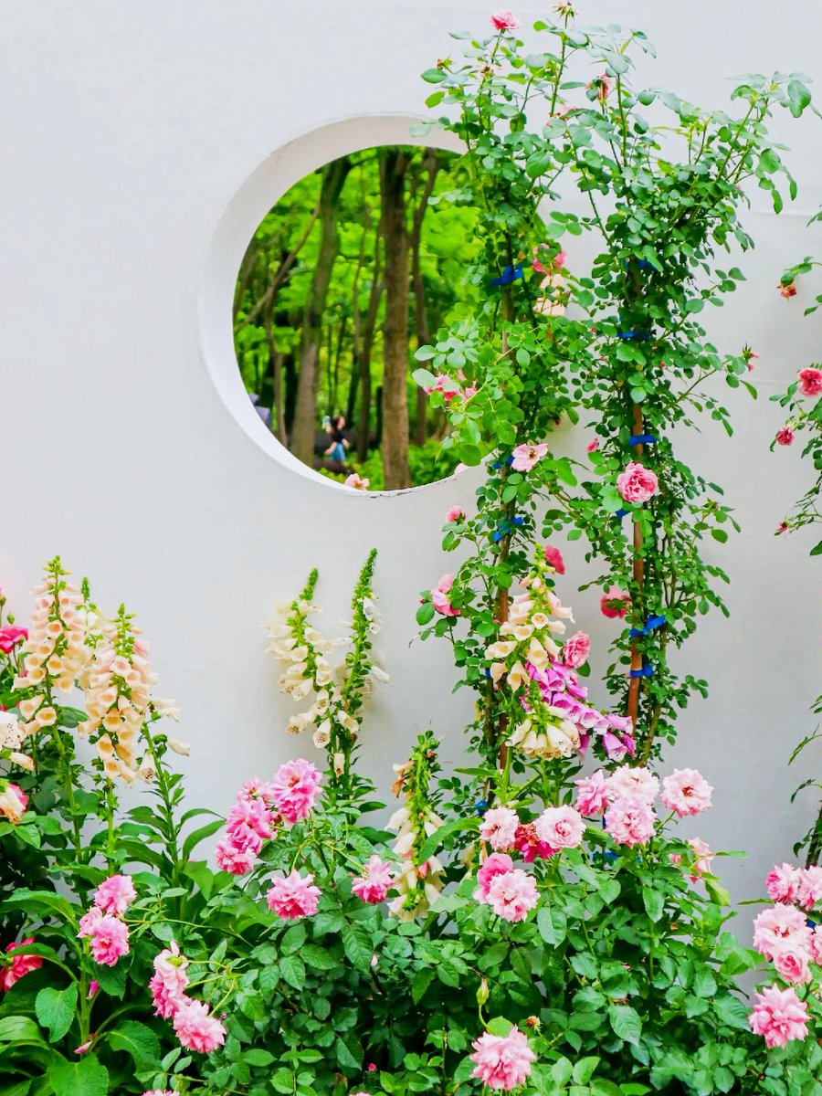 Haley Shaw tweet media