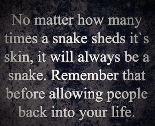 Colin Spencer tweet media