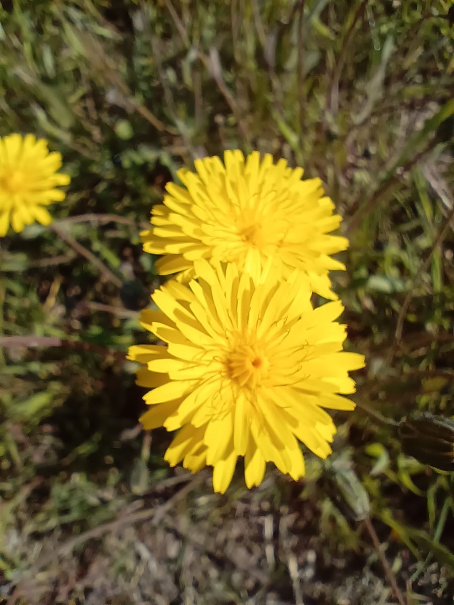 Arnau Cabeza Garrido tweet media