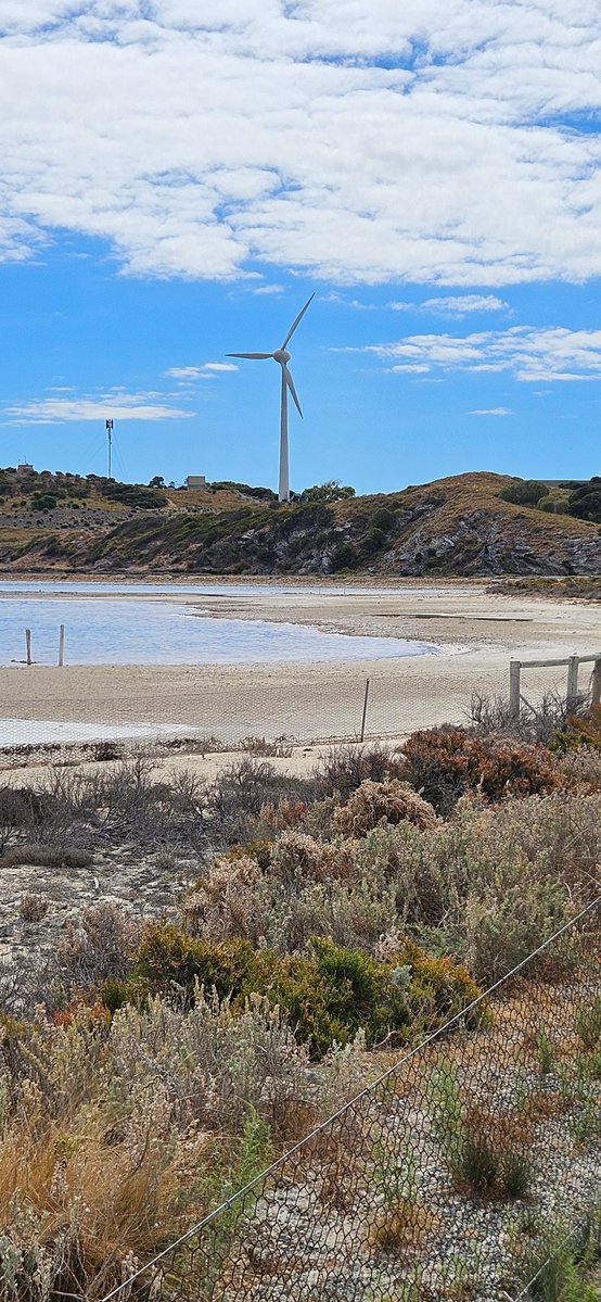 Paul Carmody tweet media