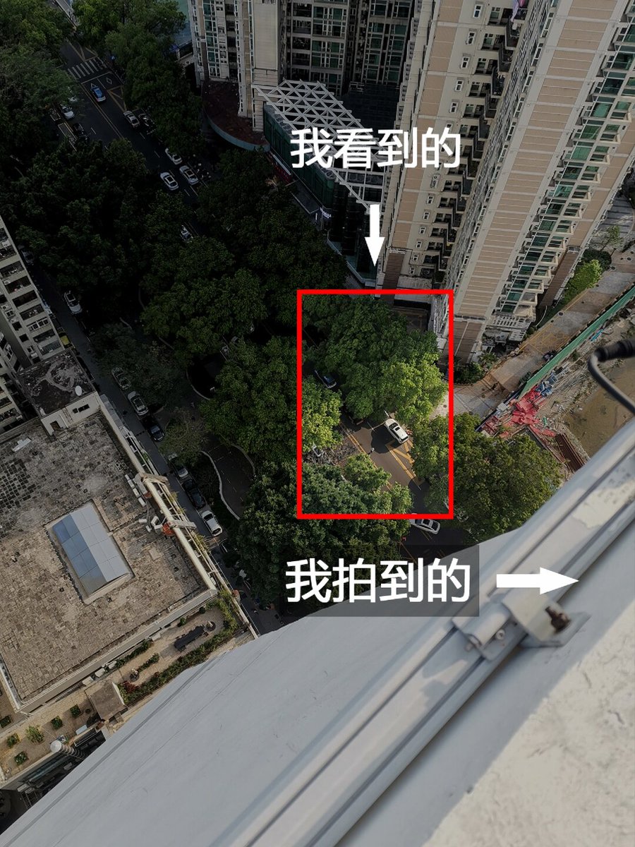 Stéfani Cintra tweet media