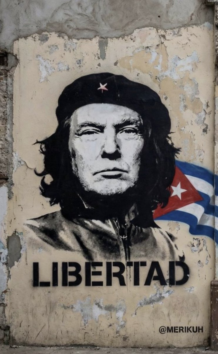 Al S. Kaput tweet media