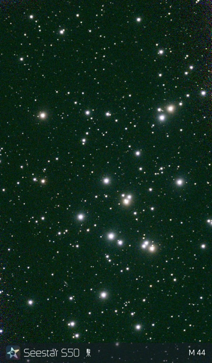 Terry Maggert tweet media