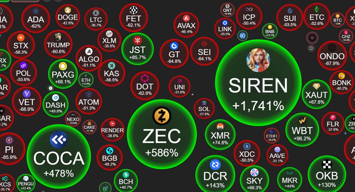 金雅丽🔸BNB tweet media