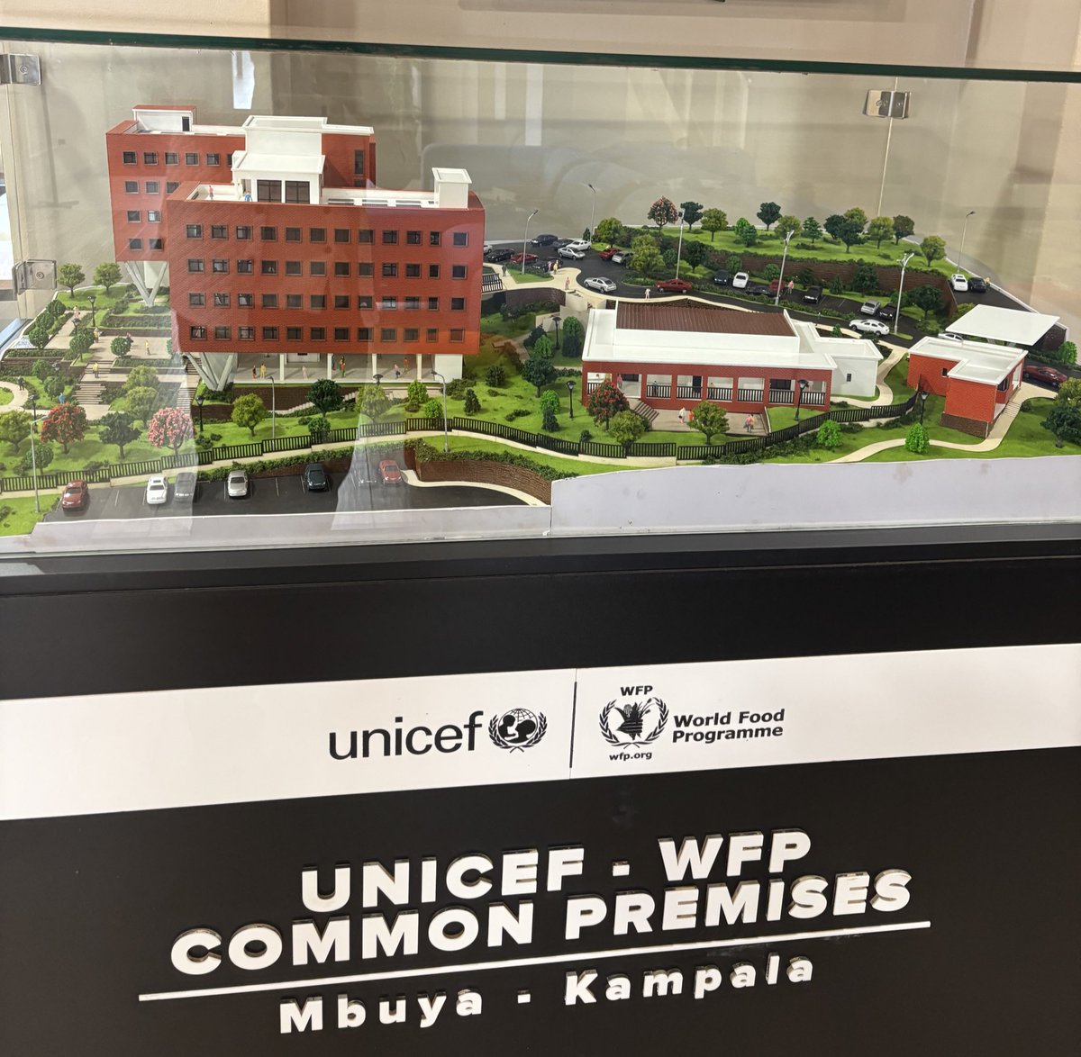 YouthForBiodversityAndClimateUG tweet media