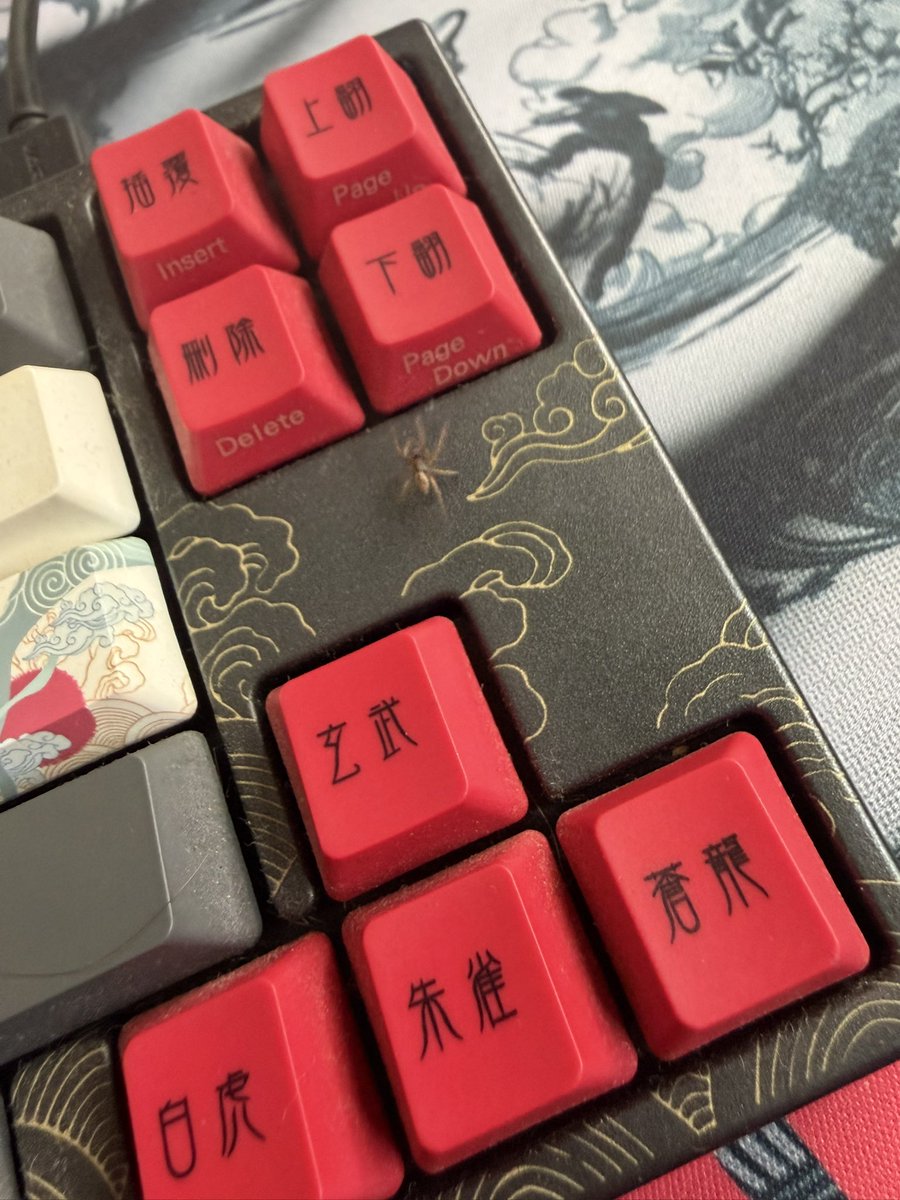 James Stewart tweet media