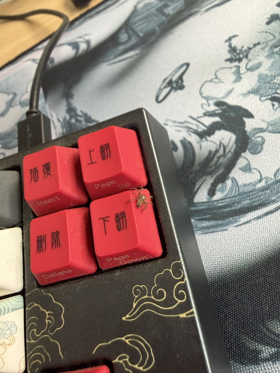 James Stewart tweet media