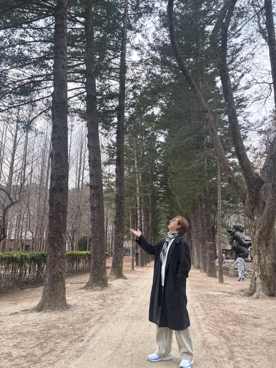 JohnOh_see's tweet photo. 📍Nami Island https://t.co/YeOGAw8VlZ