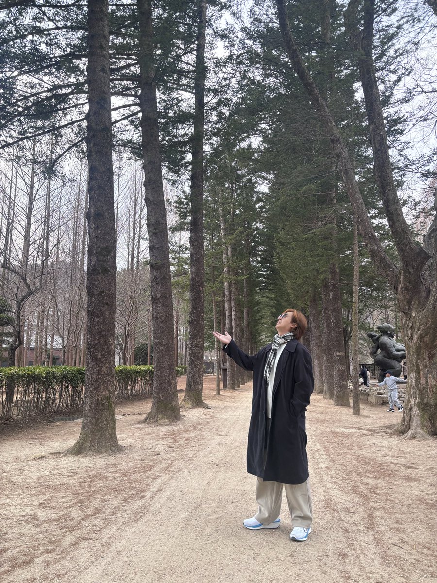 JohnOh_see's tweet photo. 📍Nami Island https://t.co/YeOGAw8VlZ