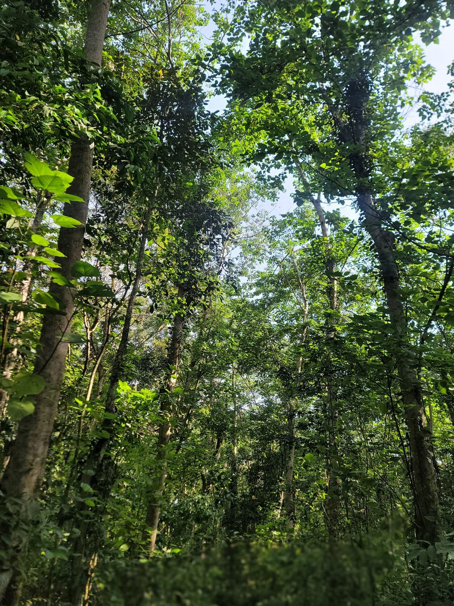 The Mad Man👿 tweet media