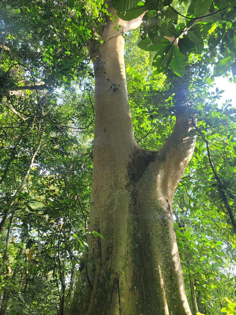 The Mad Man๐ฟ tweet media