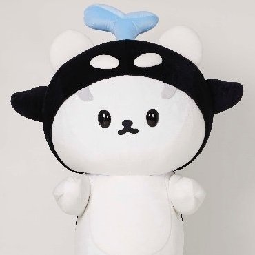 แล้วน้องซังก็แทนตัวเองว่า ซัง คือกัน แกเป็นเด็กน่ารักเหมือนกันทั้งคู่งะ จีซัง &amp; โพก้าซัง มาเจอกันรึยังดับเบิ้ลซัง
       ซัง 5 ขวบ                               ซัง 3 ขวบ