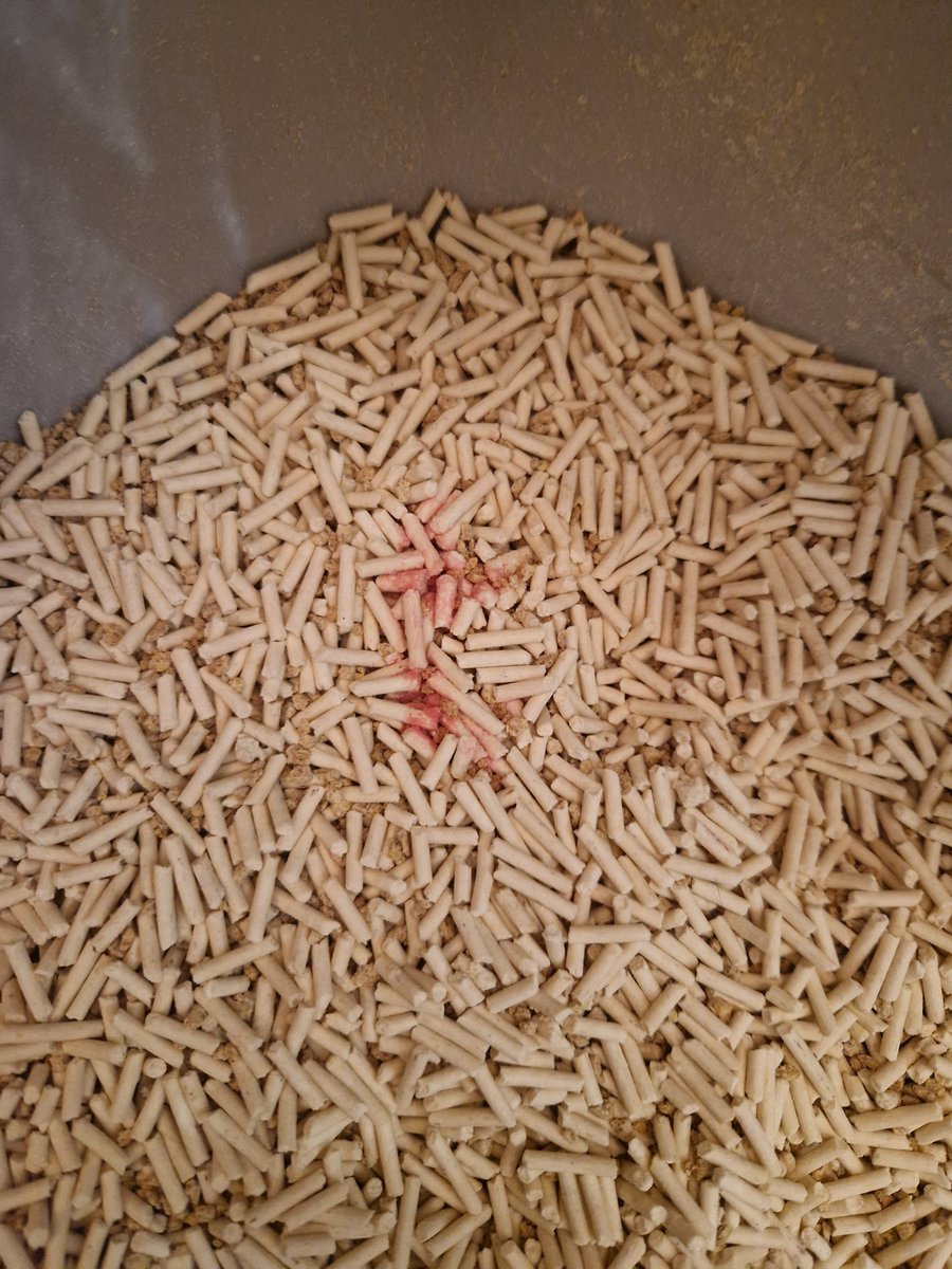 cebraAtopos's tweet photo. Me gustaria compartir la importancia que tiene el color de la arena a la hora de detectar problemas urinarios de nuestras mascotas. Hace tiempo que usaba arena marrón oscura y al cambiarla por una mas clara (en mi caso de color blanco) pude detectar sangre en la orina. https://t.co/iHqMR61jGz