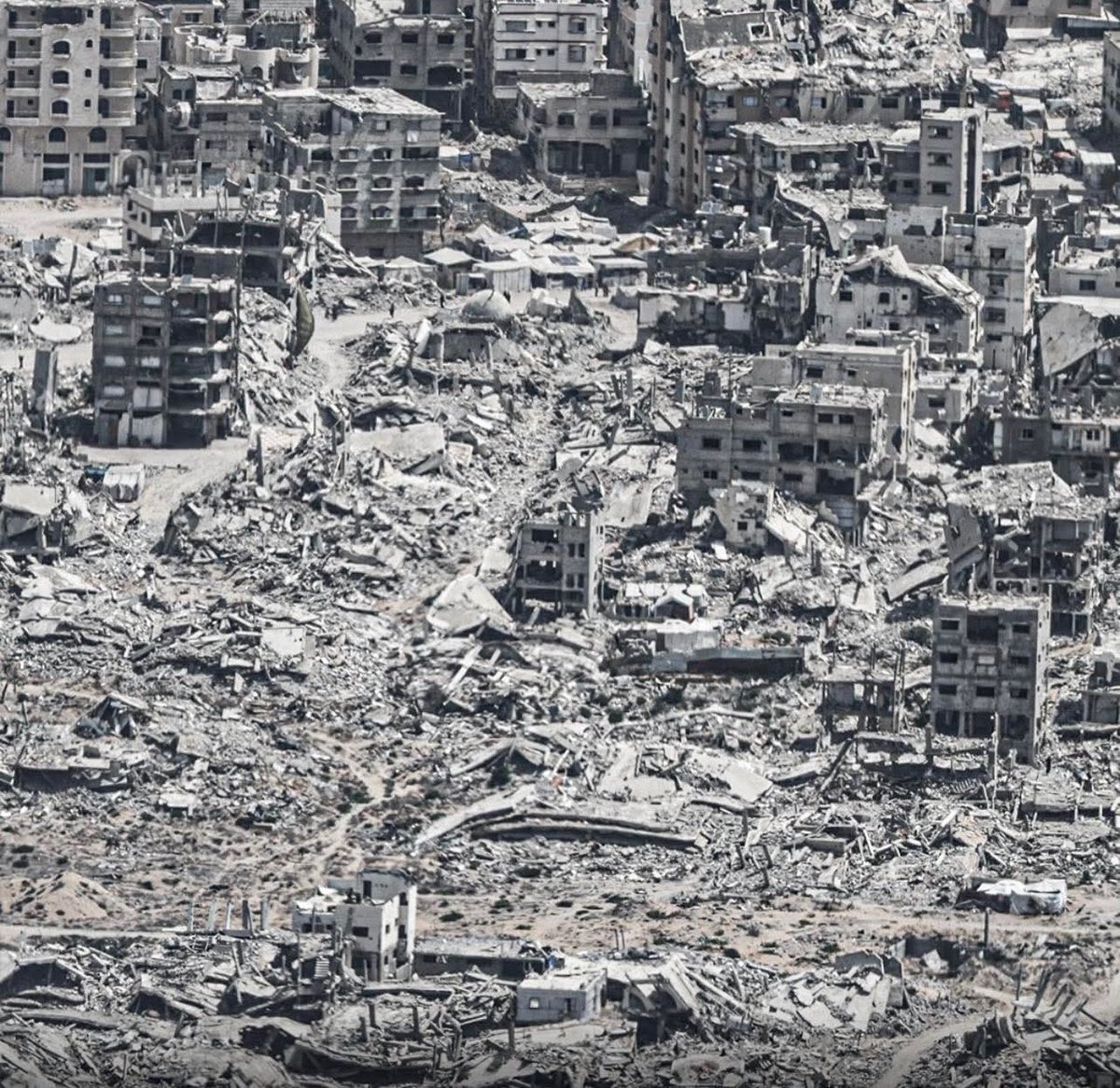 Nermeen from Gaza 𓂆🇵🇸🍉 tweet media