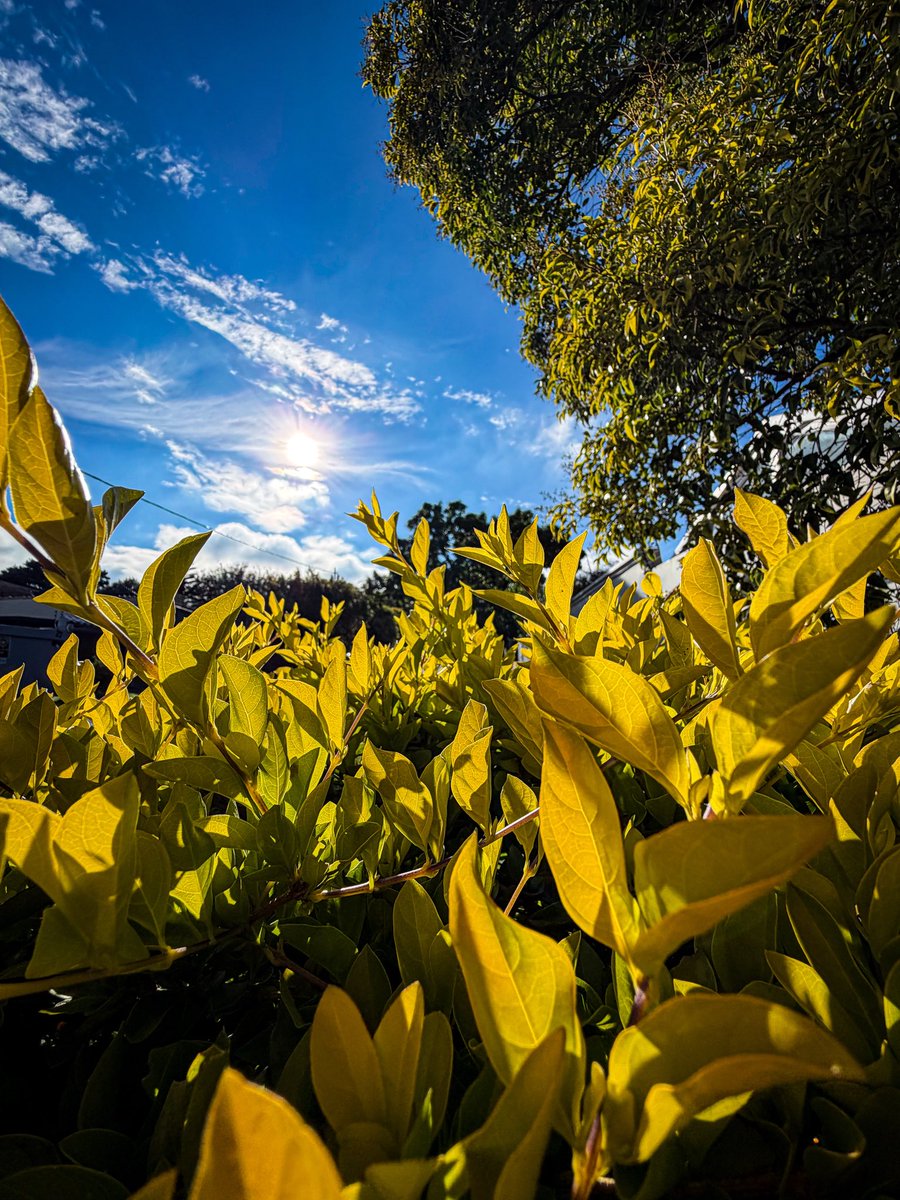 Ulrich Janse van Vuuren tweet media