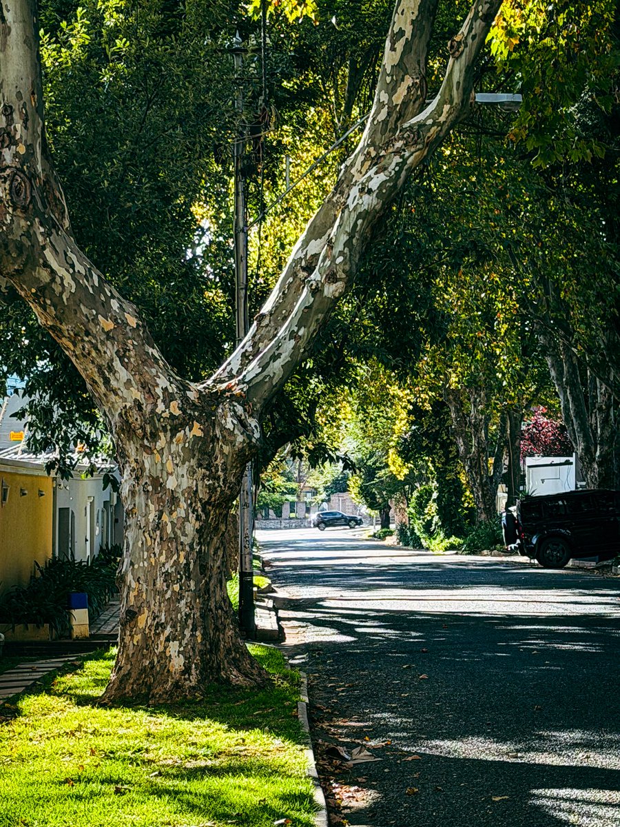 Ulrich Janse van Vuuren tweet media