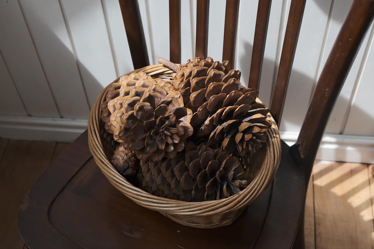泉佐野大阪住之江鳳天王寺心斎橋ミナミ日本橋浪速阿倍野松原泉大津浪速高石泉州堺岸和田和泉貝塚手押し車 tweet media