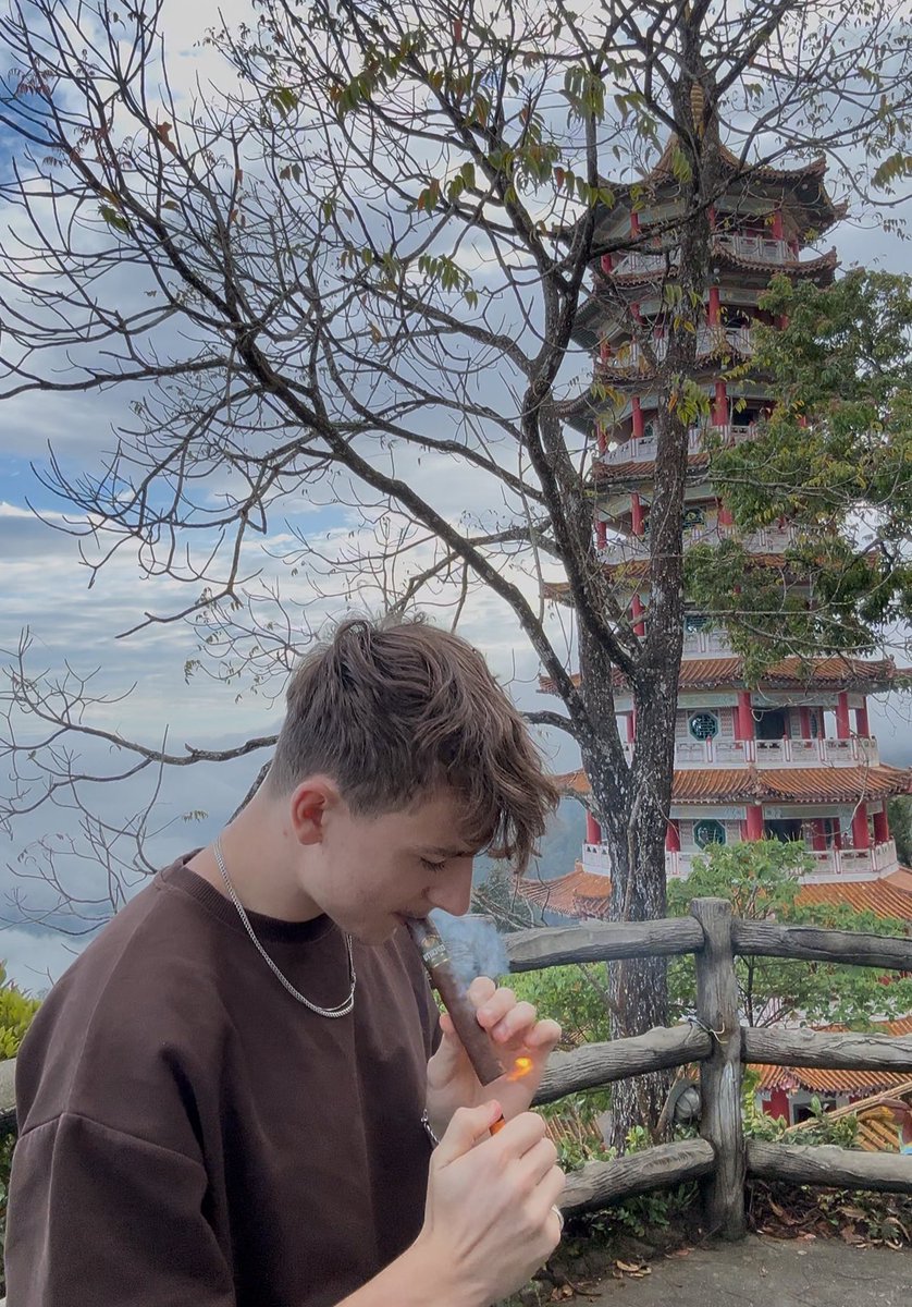 Ares🌱 tweet media