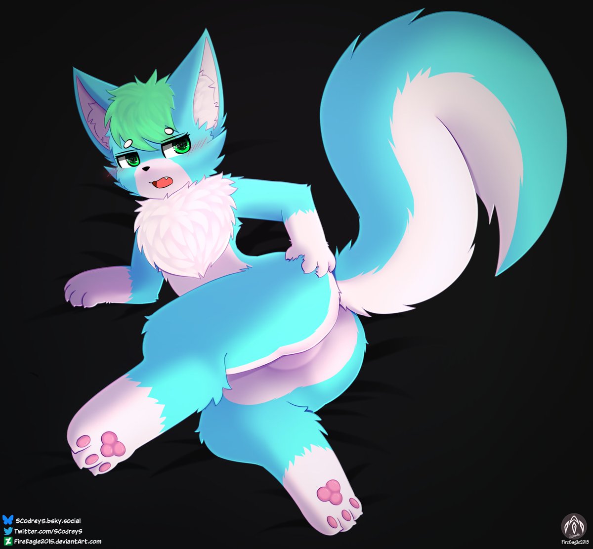 Scodreys tweet media