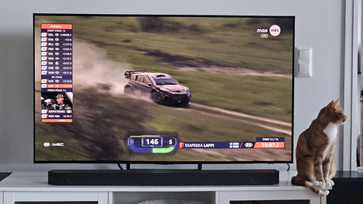Wildlife in Kenya is just crazy! 🐈 #WRC #SafariRallyKenya #mmralli