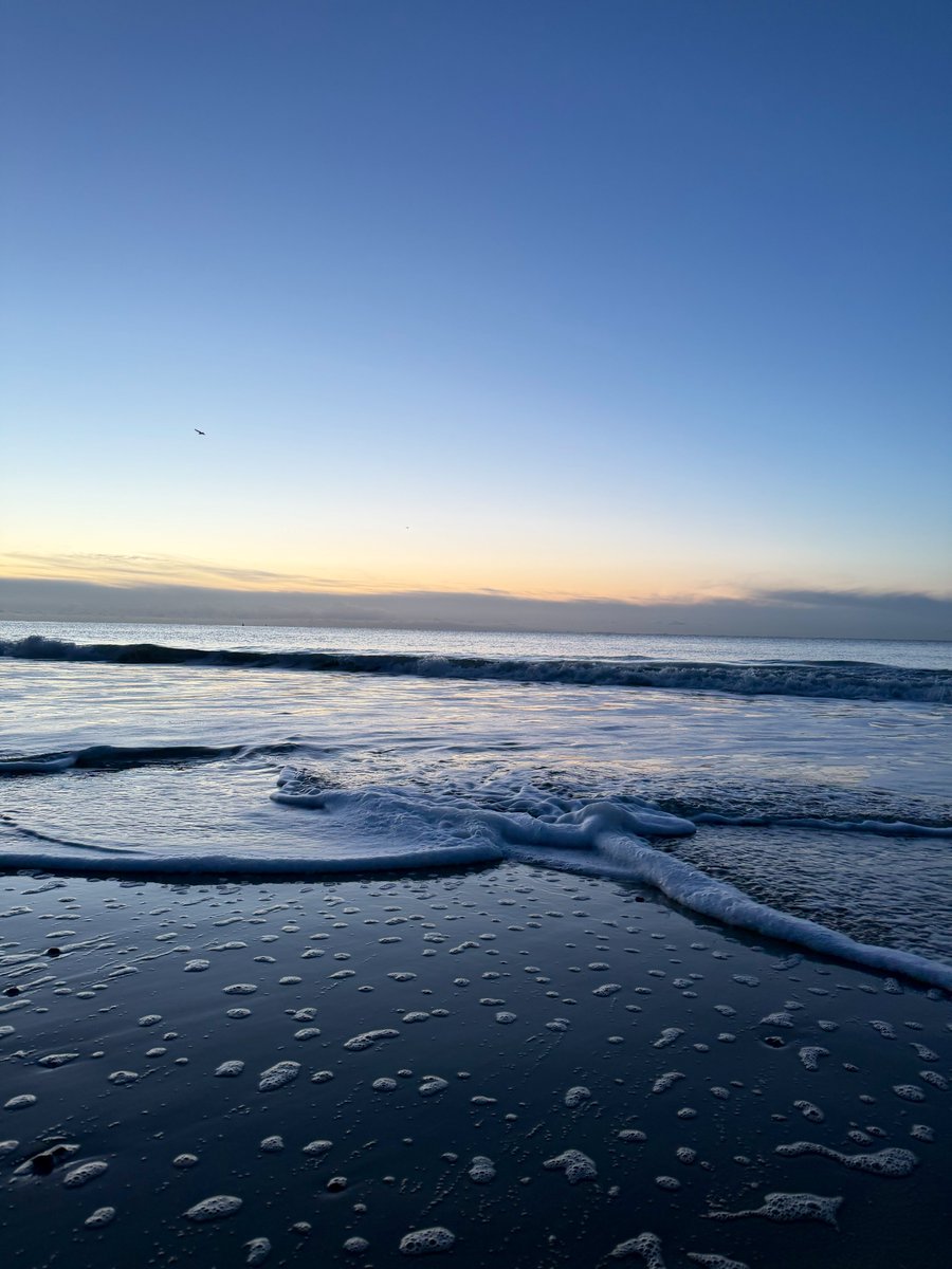 Kelly 👱🏻‍♀️🌊🔆 tweet media