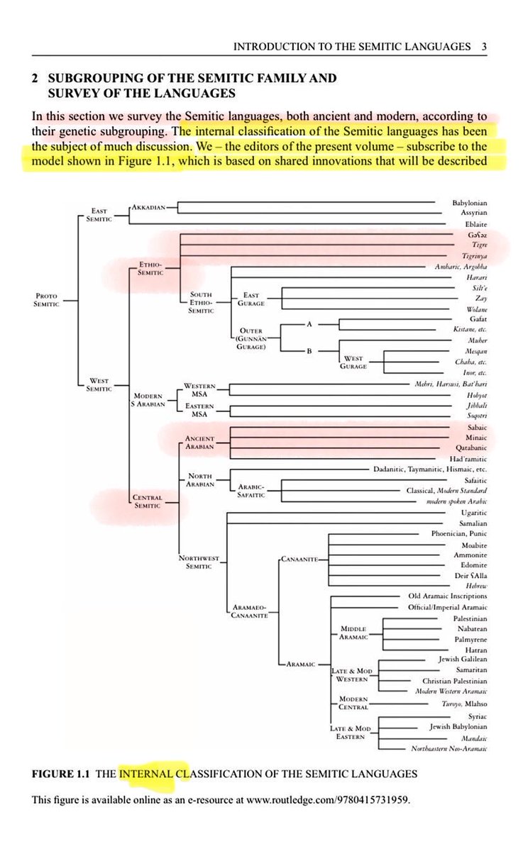 نوماد 🐪 tweet media